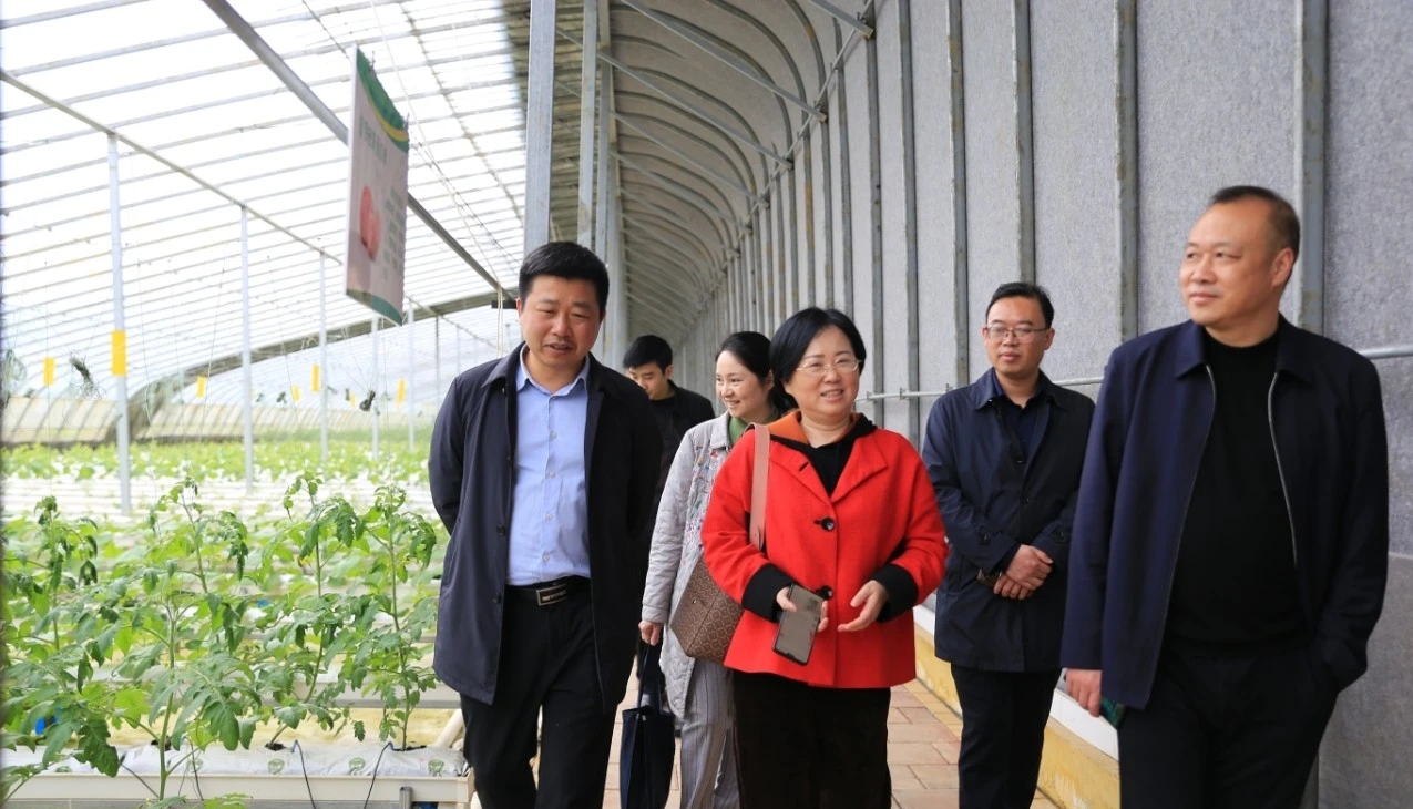 民革萍乡市委会主委,市政协常委宋玖萍一行到银河镇调研指导